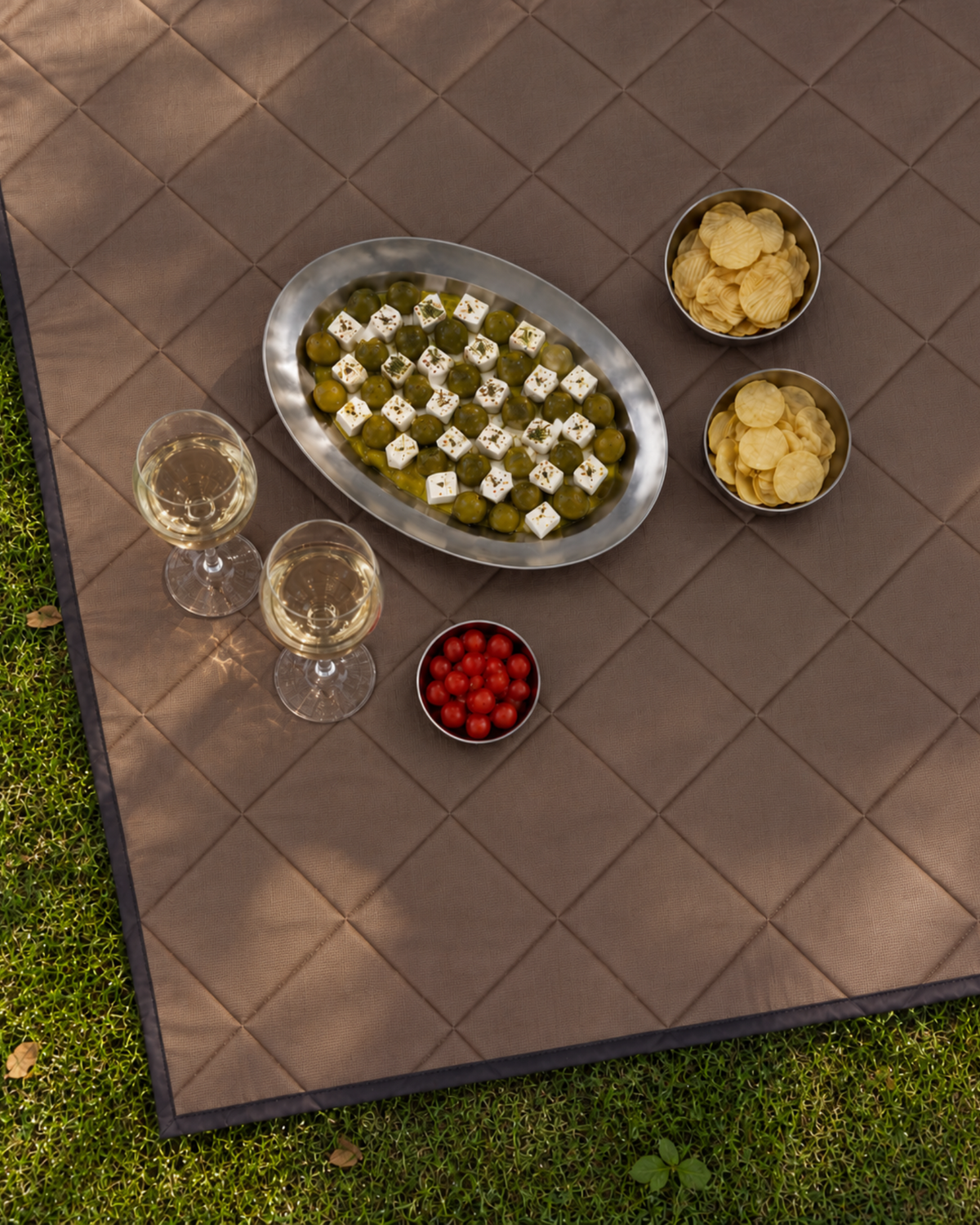 Chocolate gingham picnic blanket on the grass with a platter of olives and cheese, crisps, cherry tomatoes and two glasses of white wine